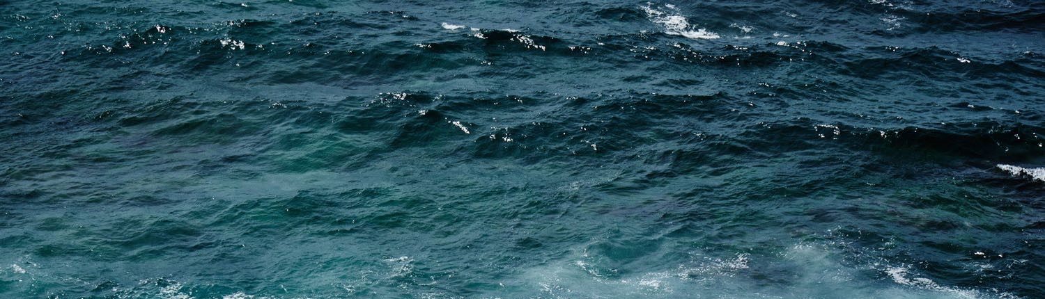 Open water off Avalon Beach, swell running with the light breaking across it.